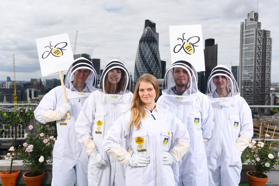  A scheme between the Bee Farmers Association and Rowse Honey is searching for 30 trainees to boost the British bee count