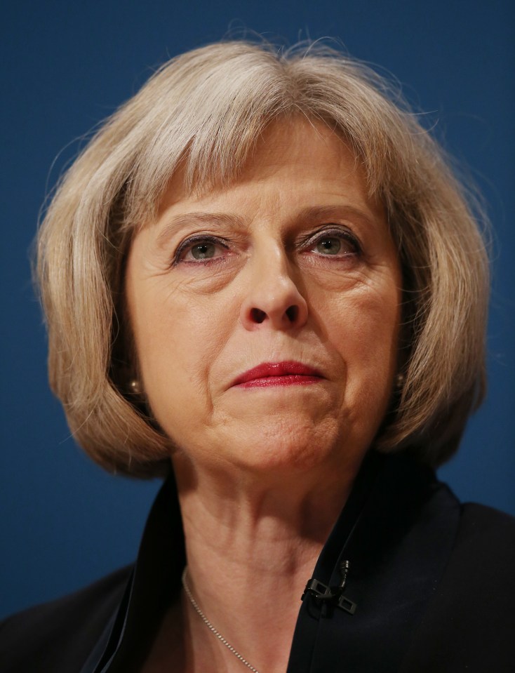  Theresa May has banned senior Cabinet members from key meetings