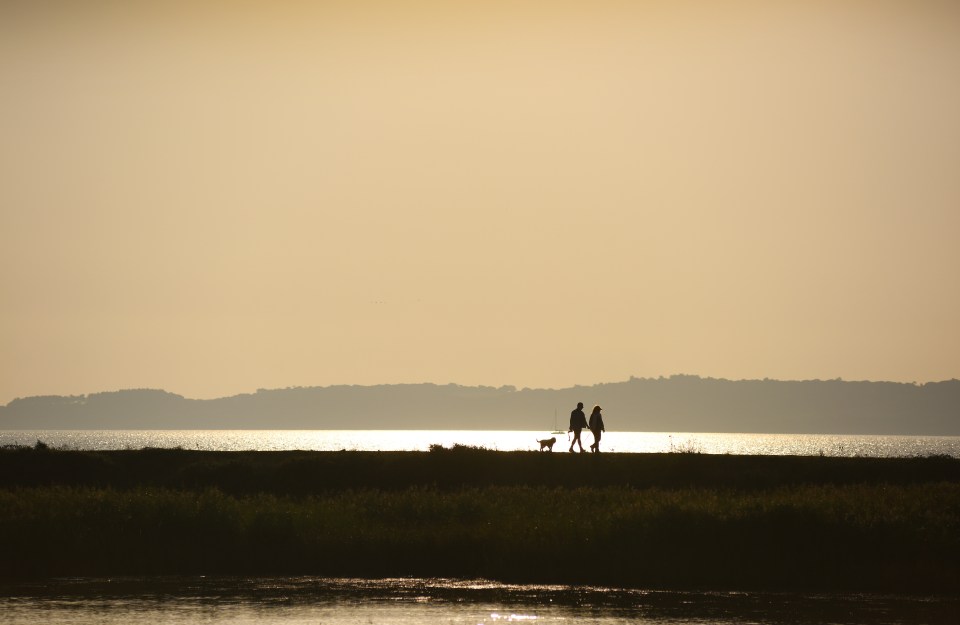  Dog walkers take in the spectacular view this morning at Keyhaven nature reserve near the New Forest