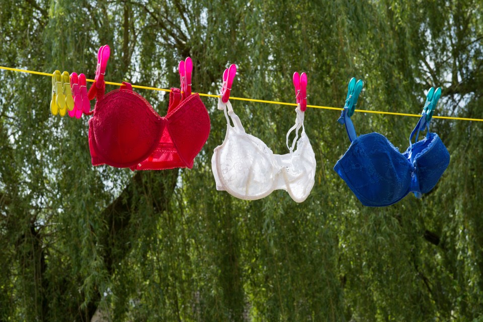 Bras top the list of items that definitely don't belong in your dryer