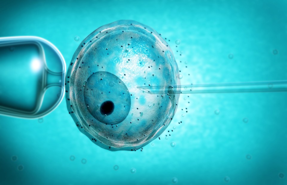  The controversial technique, known as mitochondrial donation, is a form of IVF that allows parents affected by rare genetic diseases to have healthy babies. It involves talking the DNA out of a woman’s egg that has faulty genes and transferring it to a donor egg with healthy mitochondria