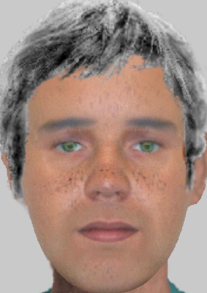  Police have released an E-Fit image of a suspect wanted for sexually assaulting the two six-year-old girls at Legoland Windsor