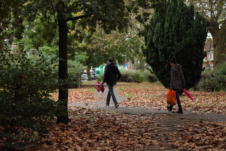  Autumn weather is well and truly on it's way as leaves cover the ground in a north London park