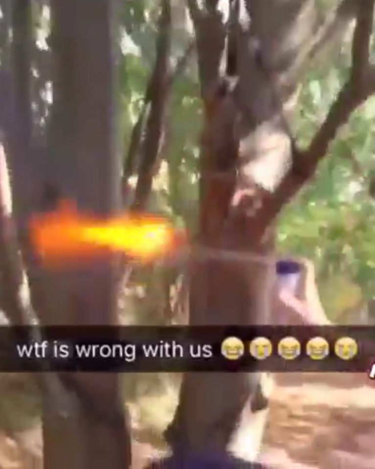  They laughed and cheered as they set the animal on fire