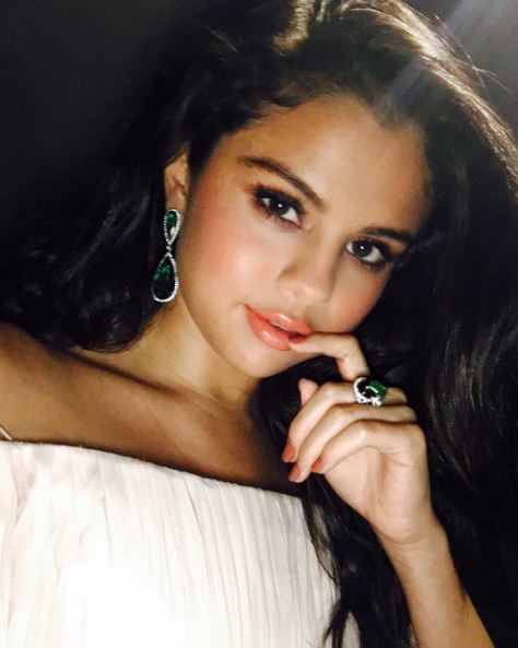 Selena has openly admitted she finds Brad attractive 