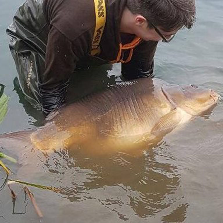  The carp was already a record when owner Rob Hales introduced it to his lake