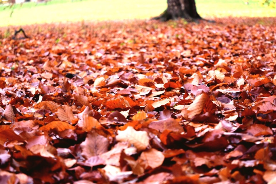  The autumn equinox signals the end of summer and start of autumn for the northern hemisphere