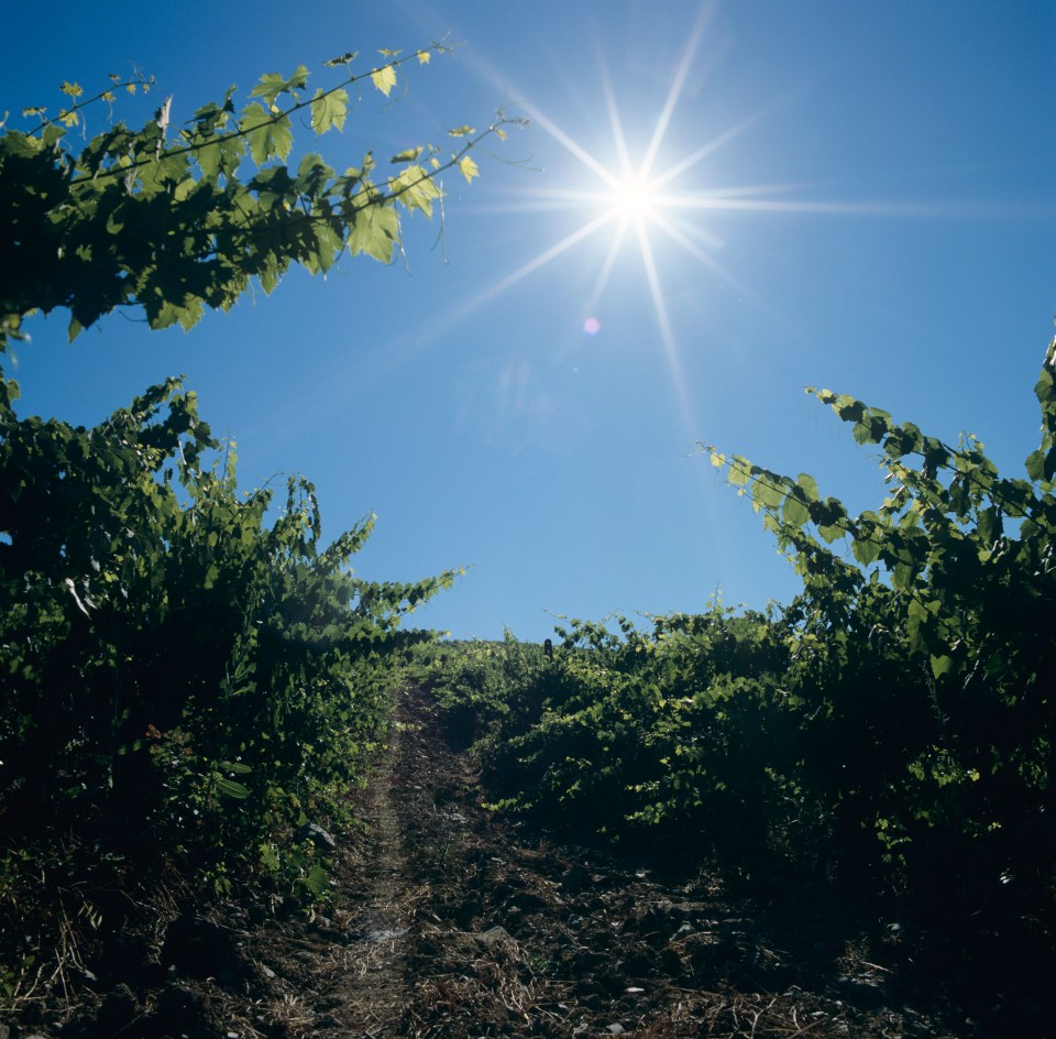  The autumn equinox is when the sun passes from the northern to the southern half of the sky