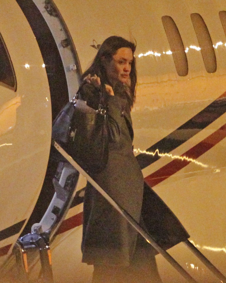 Brad Pitt, Angelina Jolie and Family Arrive in London