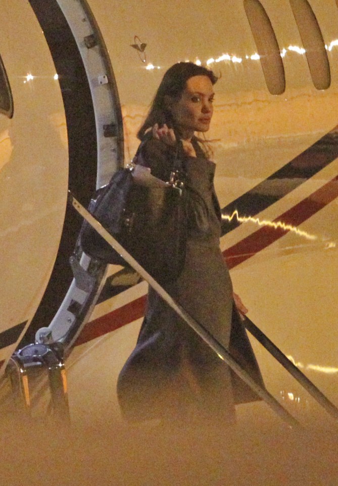 Desperate bid . . . midair clash was infront of actress Angelina Jolie, witnesses claim