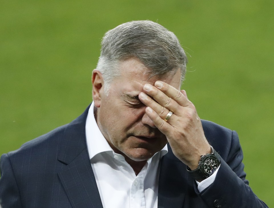 Sam Allardyce fears he will be sacked by the FA after the revelations