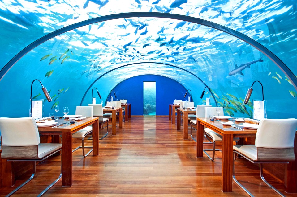 The underwater restaurant, Ithaa in the Maldives sits three metres below the surface of the Indian Ocean in a vibrant coral garden. The all-glass structure - which consists of three five-metre wide, 125mm thick glass arches and has an underwater view