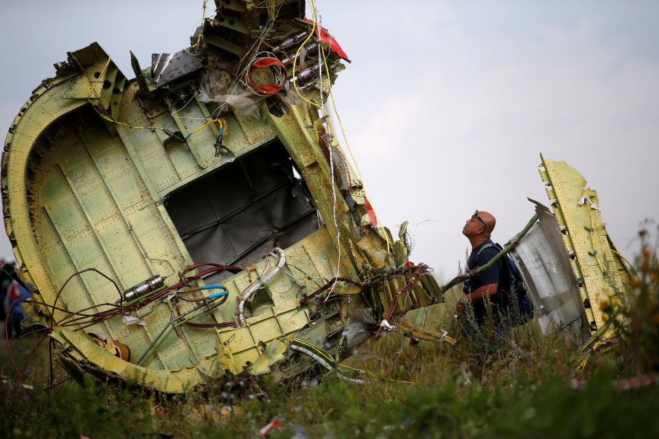 A Malaysian air crash investigator inspects the crash site in Ukraine