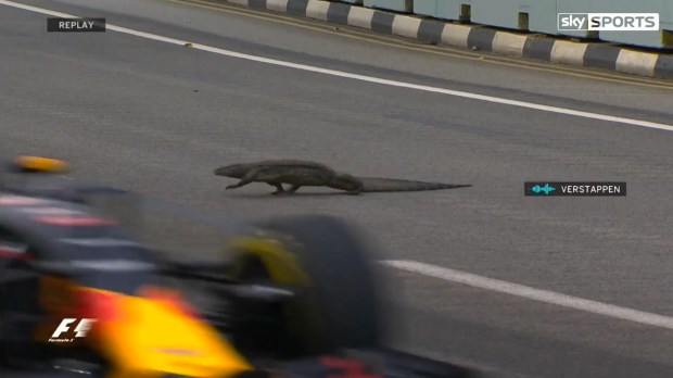 Verstappen previously encountered a lizard in Singapore seven years ago