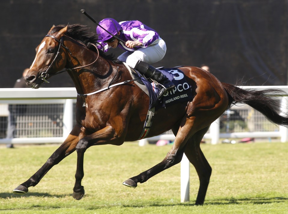  Highland Reel is back to defend his crown