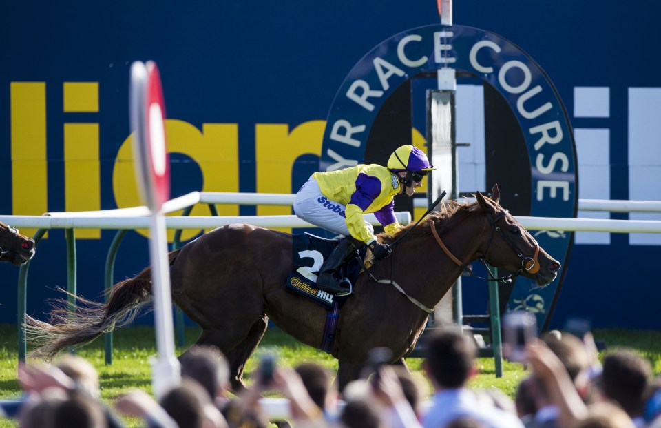  Brando and Tom Eaves strike gold at Ayr