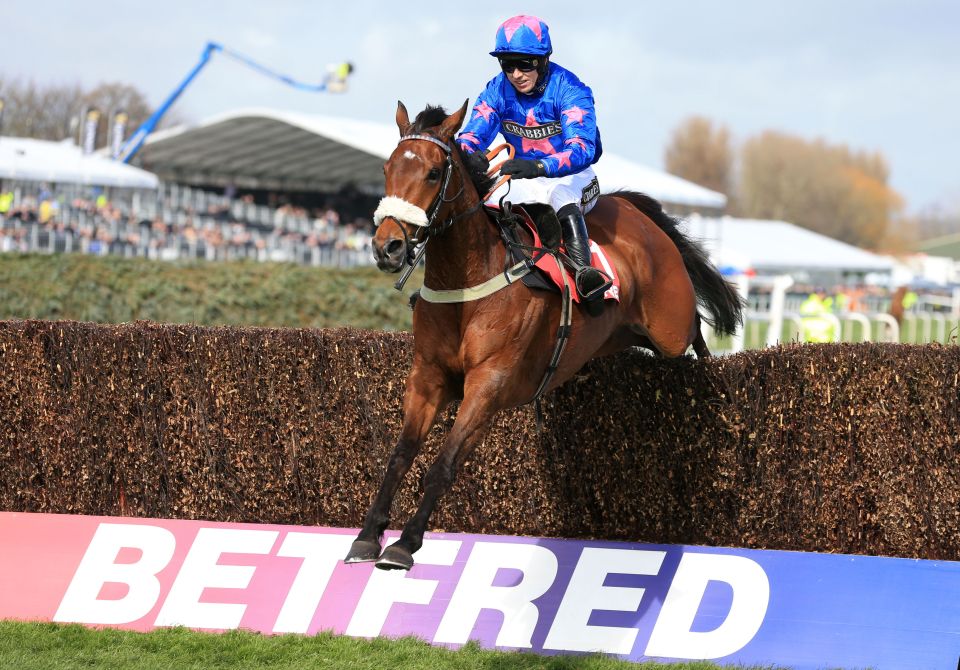 Cue Card suffered a shock defeat in the Charlie Hall last time out