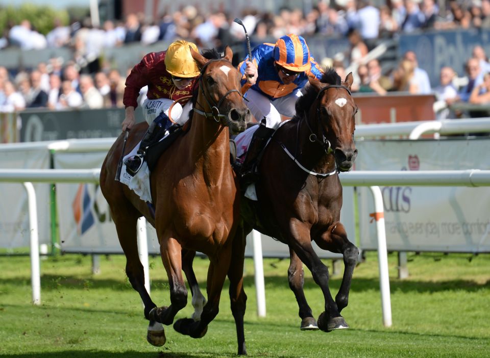  Simple Verse (left) grabs victory in the final strides from Pretty Perfect