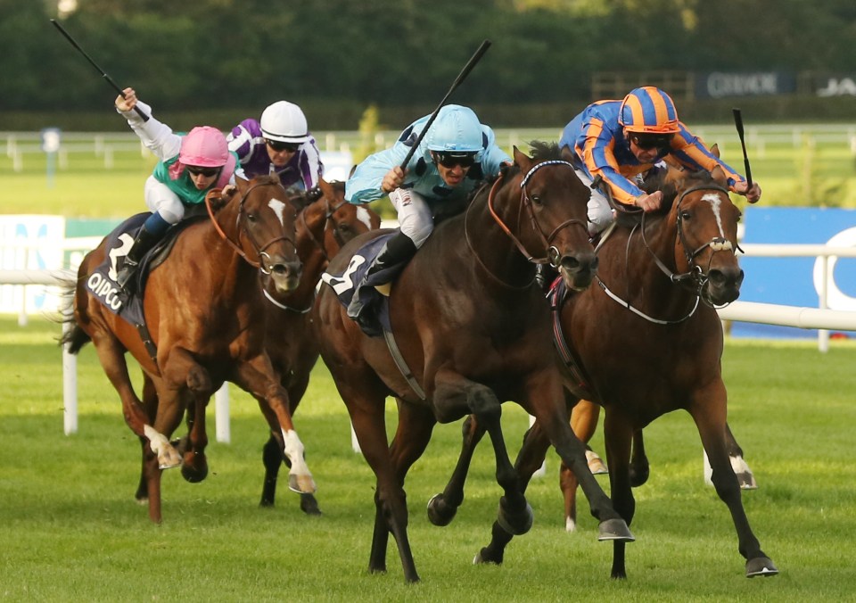  Almanzor (blue cap) had been set to have a crack at the Arc