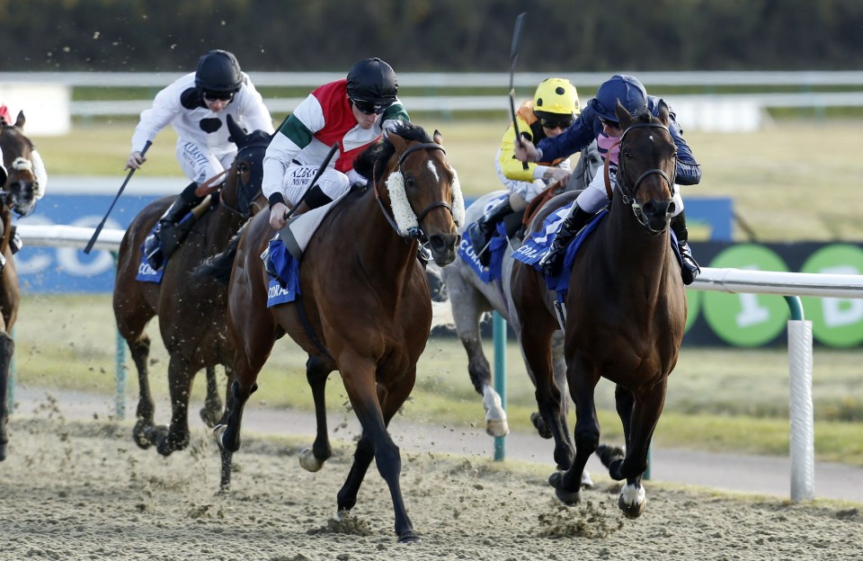 Grendisar (left, cheekpieces) saves his best for Lingfield