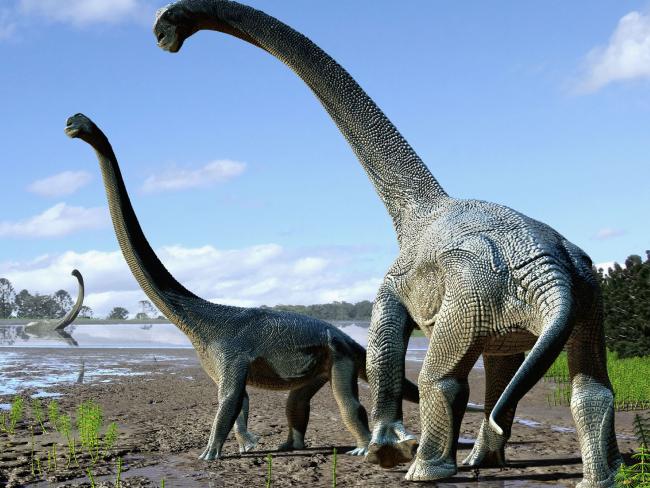 An artist's impression of the Savannasaurus elliottorum