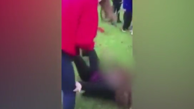 In it the older girl is seen kicking and punching the younger girl