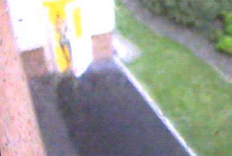 Ched can be seen walking through the back door after the sexual encounter in May 2011