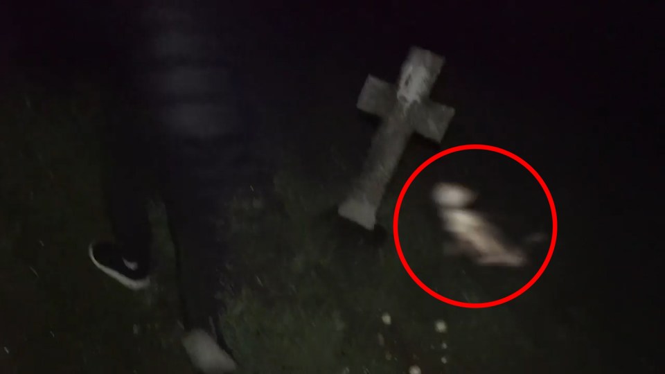  It appears to chase the teenager through the cemetery