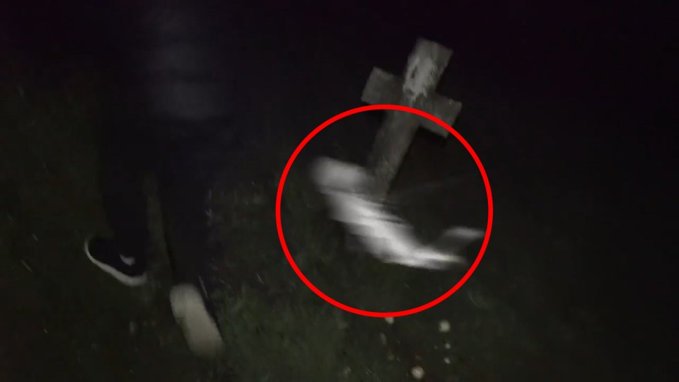  The mystery creature is seen hovering in front of the camera in the bizarre footage