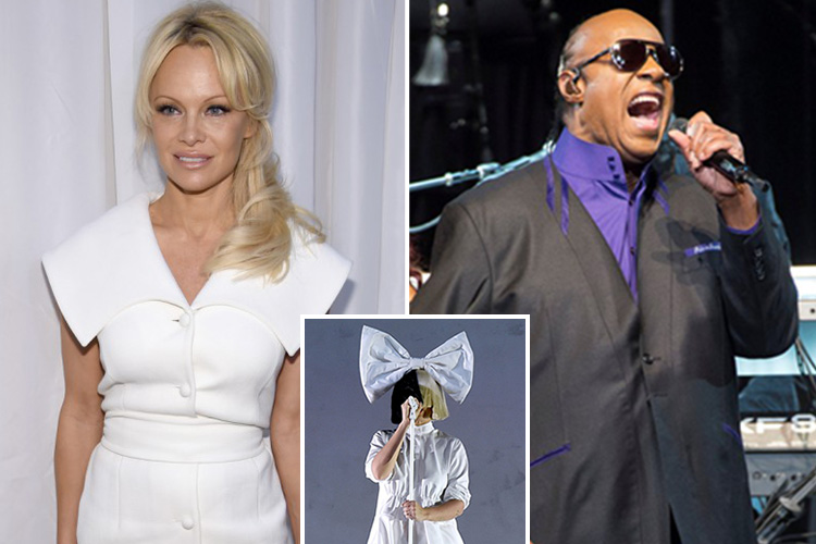 Former Baywatch star Pamela Anderson, Stevie Wonder and Sia