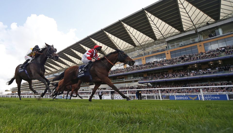  Sheikhzayedroad (right) won the race 12 months ago