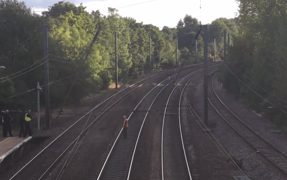 Police officers stand at the edge of the platform and try to encourage the track-wanderer to come back to safety