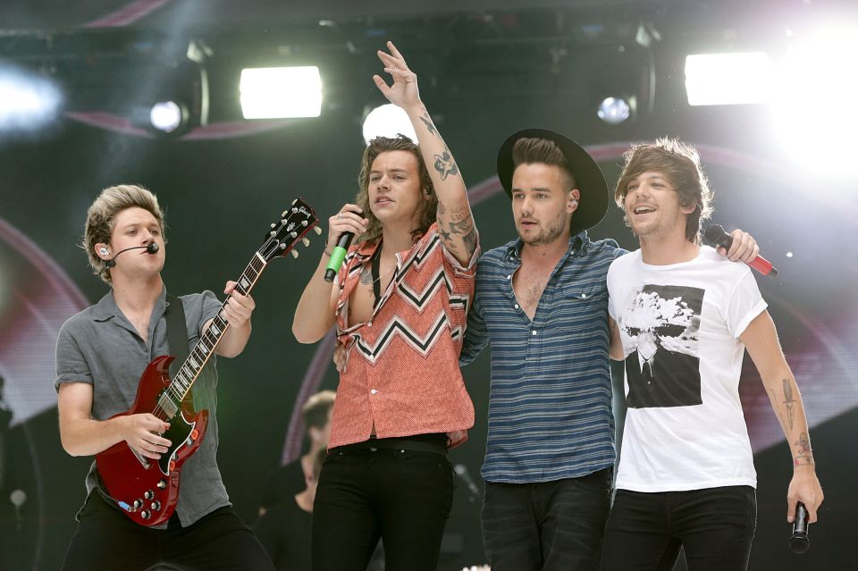  One Direction on their farewell tour