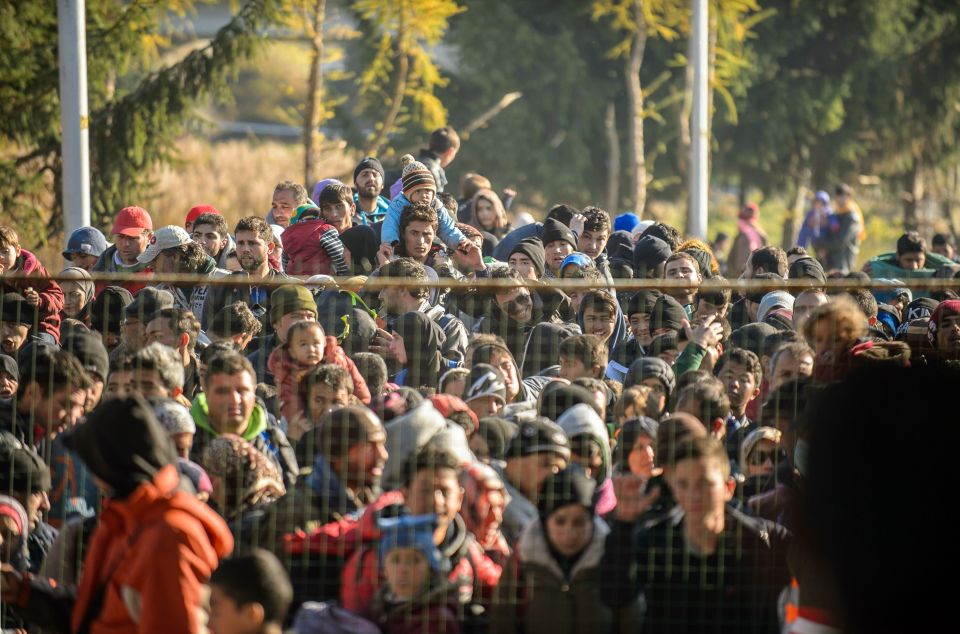 Migrants waiting to cross the Slovenian border into Austria 