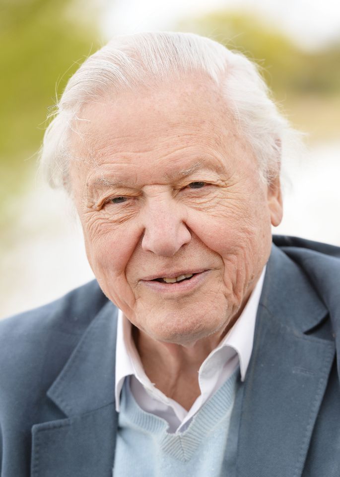  Wildlife expert Sir David Attenborough is not a fan of cooking or gardening shows