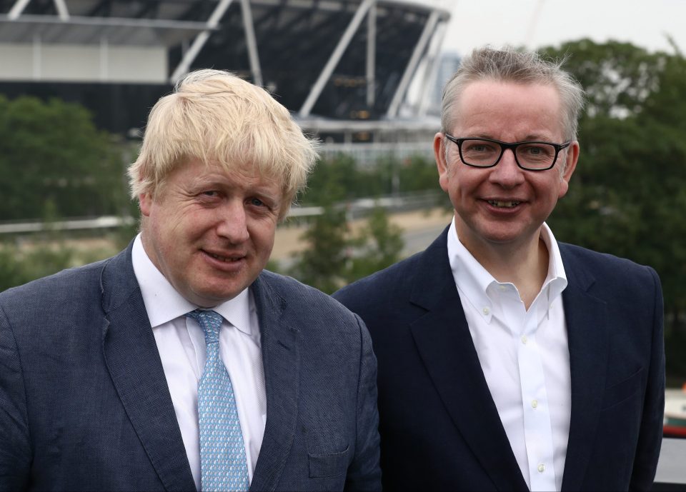 Michael Gove has denied stabbing Boris Johnson in the back over the Tory leadership contest