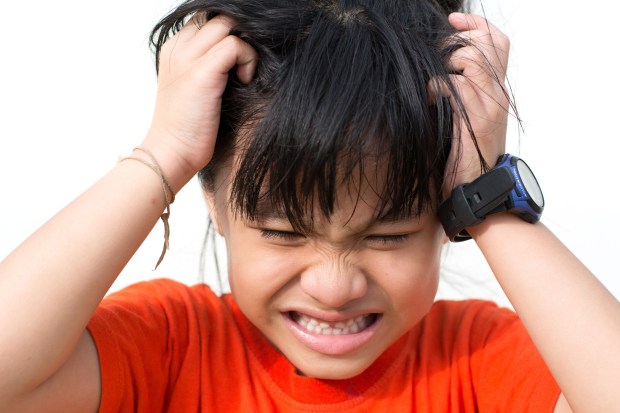 This list will tell you everything you need to know about head lice