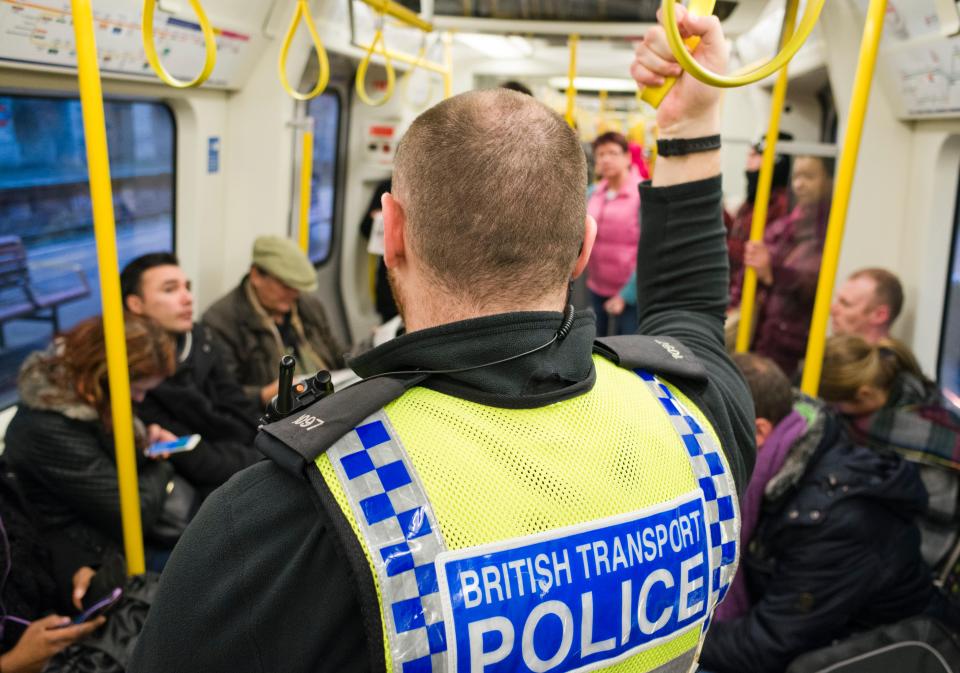 The British Transport Police would be merged into the new rapid-response unit