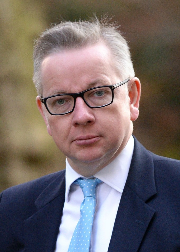  Gove's speech could hardly have been less flattering to the new PM