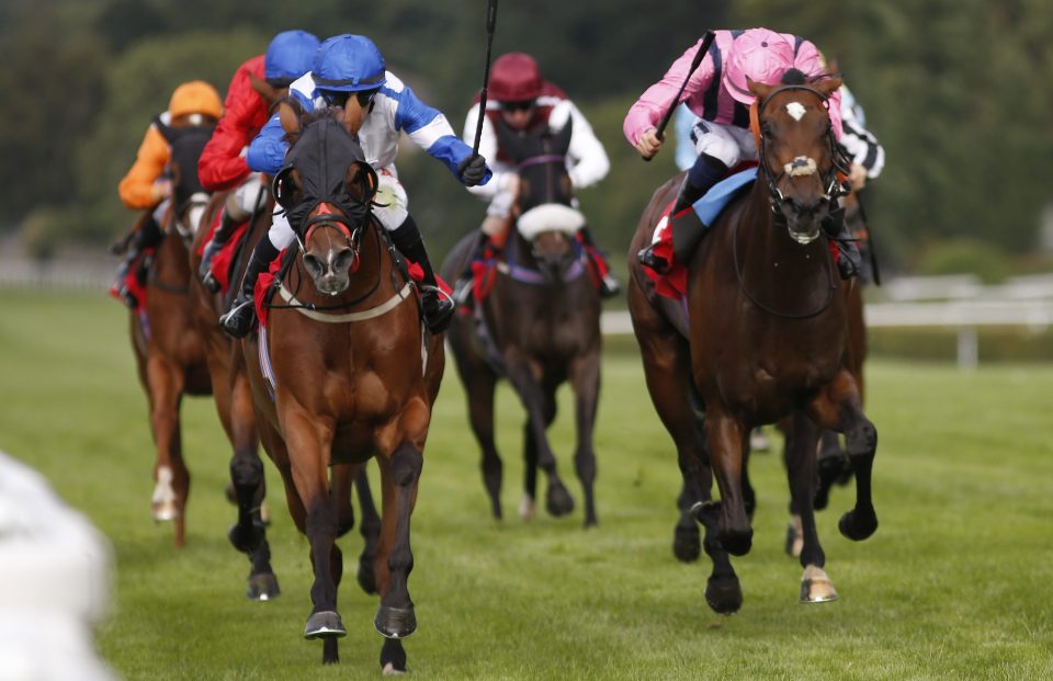  Jockeys are being warned to clear out their accounts as thieves target them