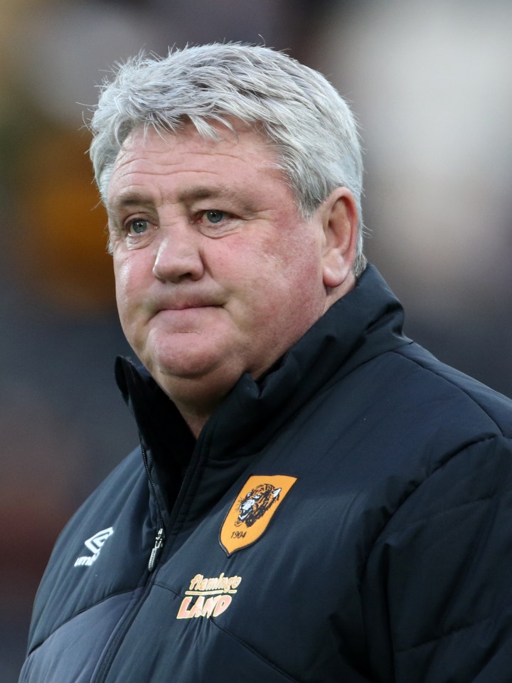 Steve Bruce is keen on taking the Aston Villa job