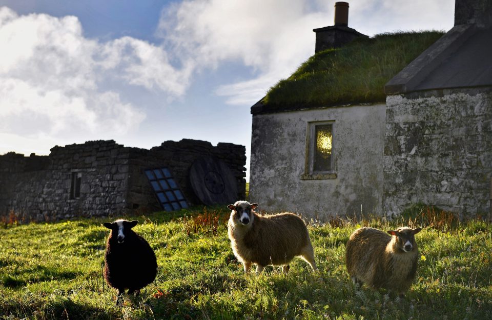 Foula - One Of The Remotest Permanently Inhabited Islands In Great Britain