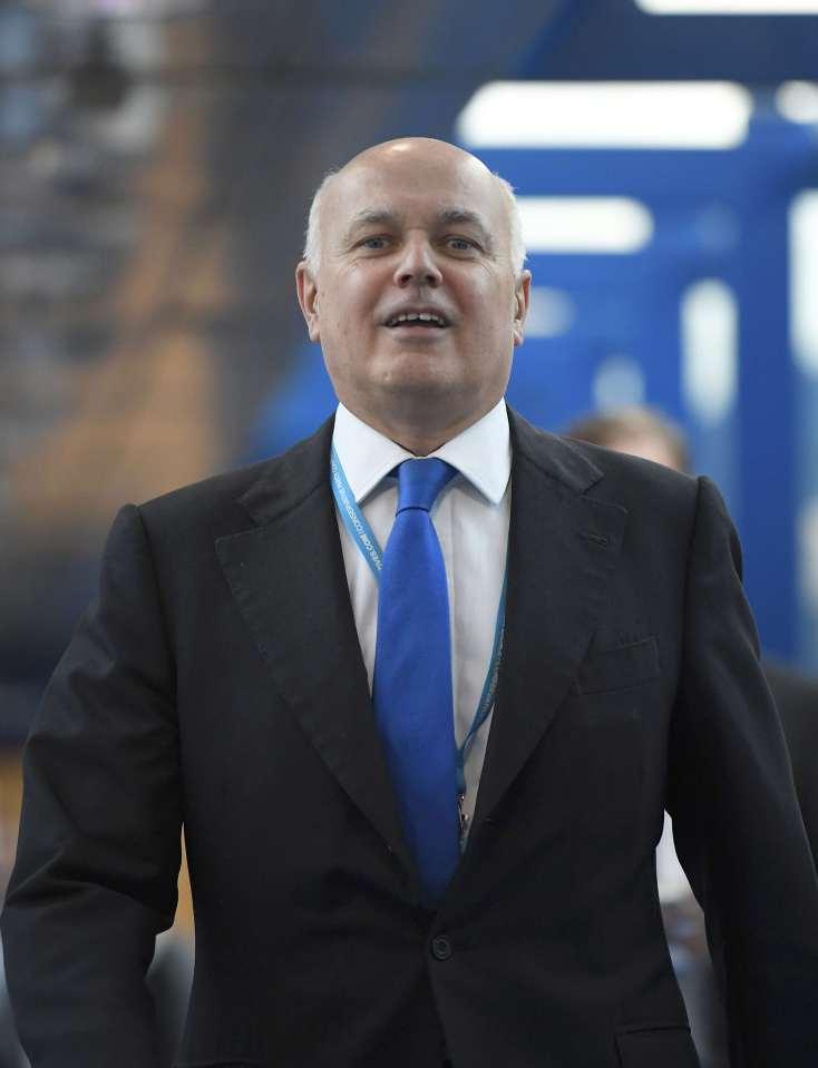  Pro-Brexit Tory MP Iain Duncan Smith claimed the supermarket boss was 'unhelpful and ill informed'