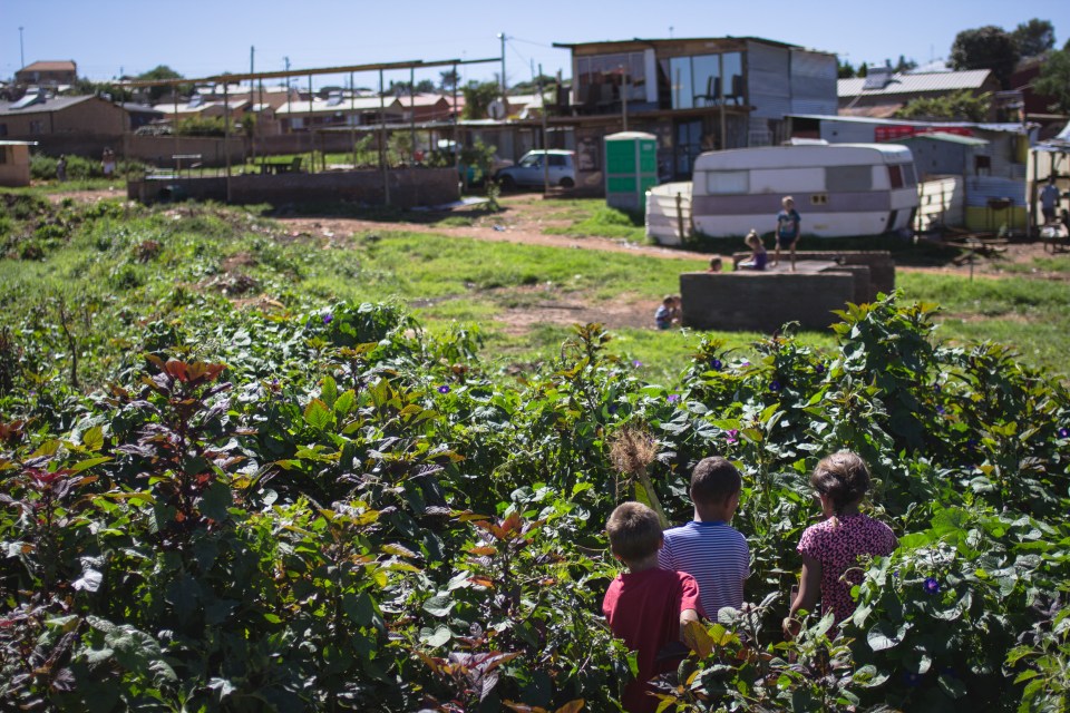  Children play in the weeds growing by the edges of the white squatter camp