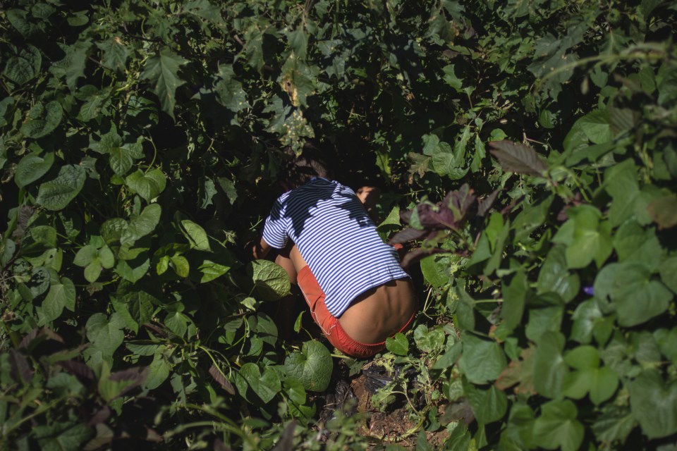  A child plays among the weeds that grow on the edges of the camp