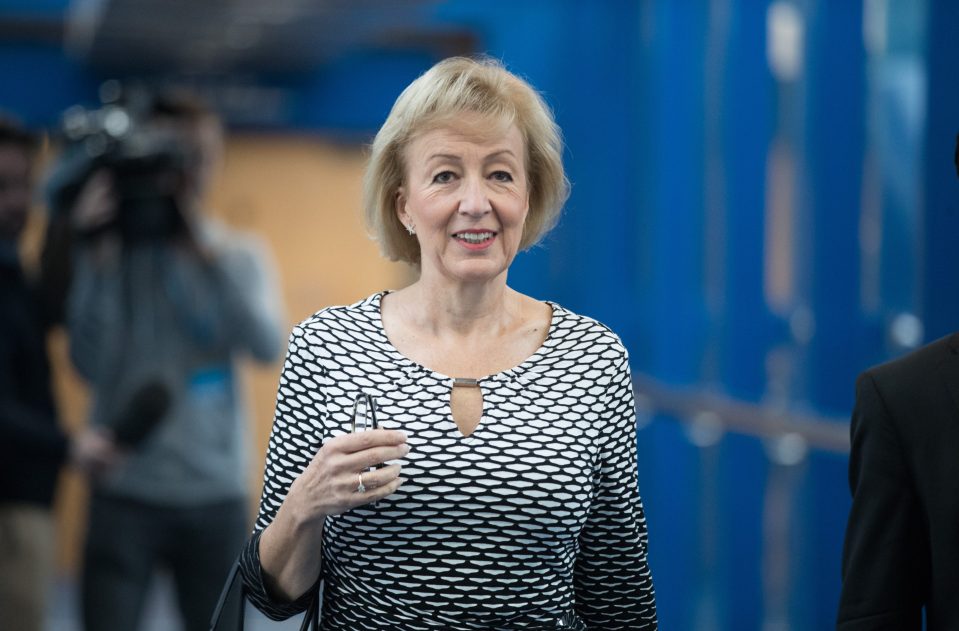  Andrea Leadsom made the strange comments at a fringe event at the Tory party conference in Birmingham