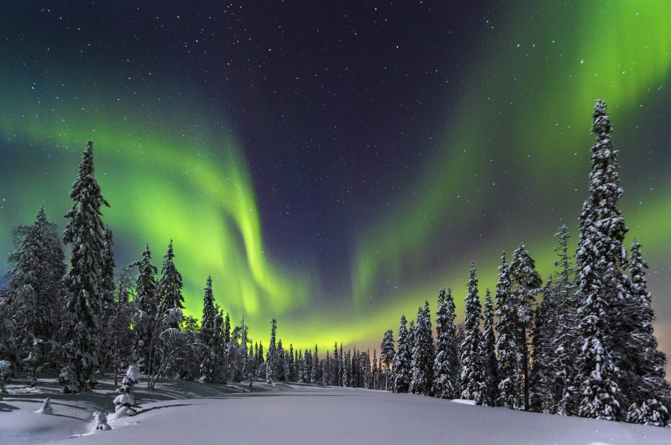  The Northern Lights captured in all their green glory over the Pyhae Luosto National Park in Finland