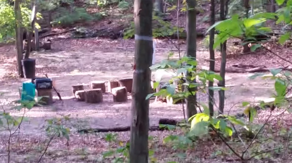  Deserted ... Central fire pit is surrounded by tree stumps