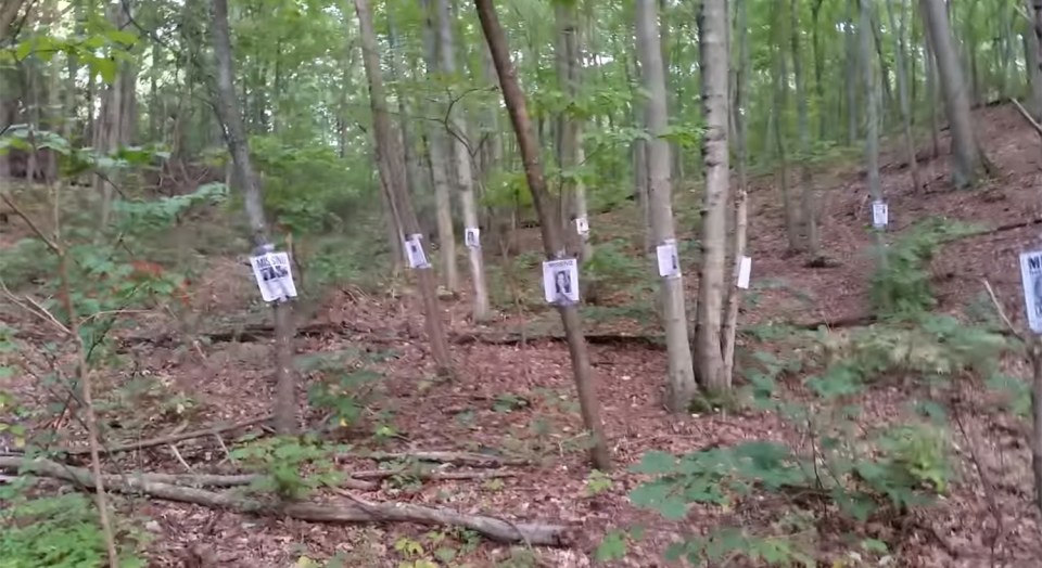  Posters ... Hiker initially thought they were 'no trespassing' signs