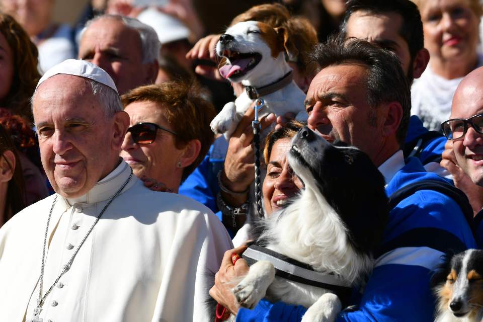 The cheeky Jack Russell made sure it was in prime position to get in the shot with the pontiff